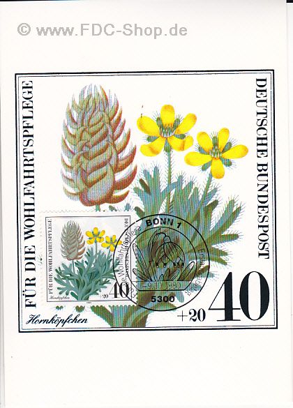Maximumkarte BUND, Mi-Nr. 1059, Wohlfahrt; Gefährdete Ackerpflanzen, Hornköpfchen